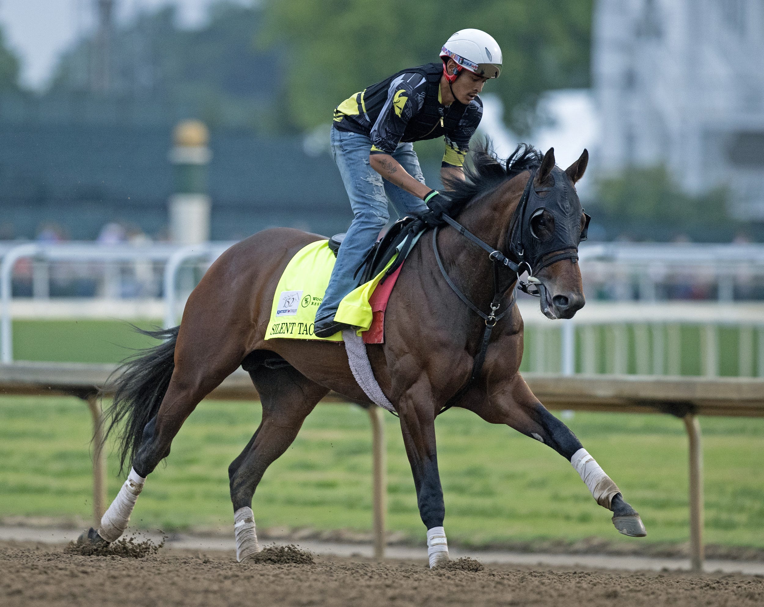 Kentucky Derby 2026: Silent Tactic scratches; Great White draws in